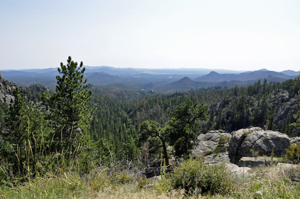 the beauty of Custer State Park