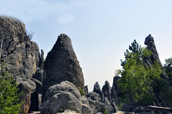 Slender granite formations called Needles dominate the skyline.
