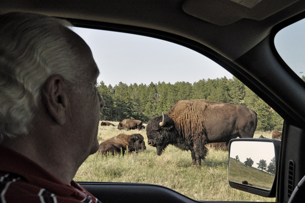 Lee Duquette and a big buffalo-bison