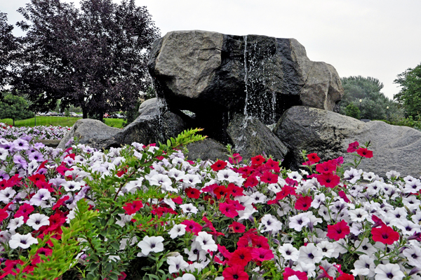 flowers and a a rock fountain near Capitol Lake