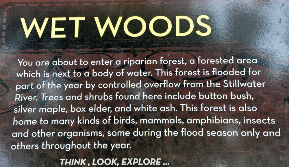 Wet woods sign