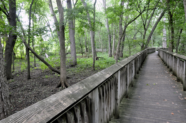 boardwalk through the area labeled as the wet woods area
