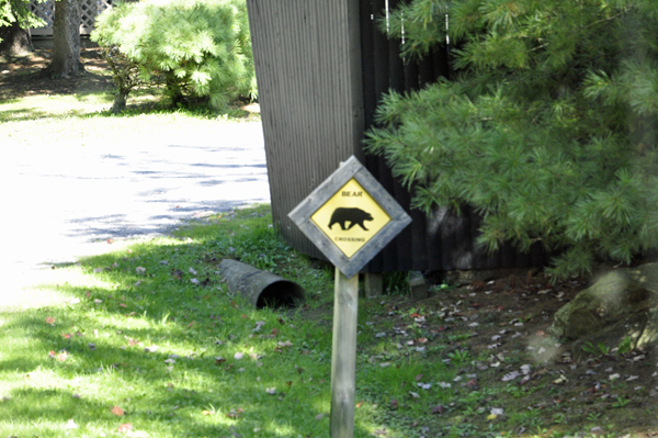 black bear sign in campground
