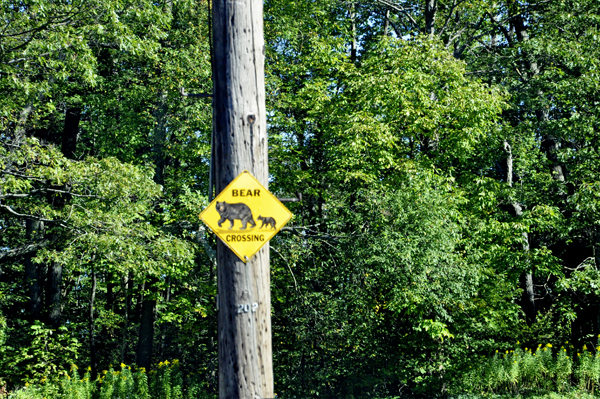 Bear and cub crossing sign