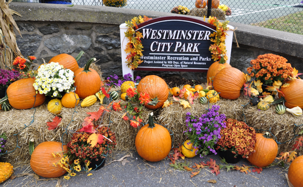 Westminster City Park sign and pumpkins