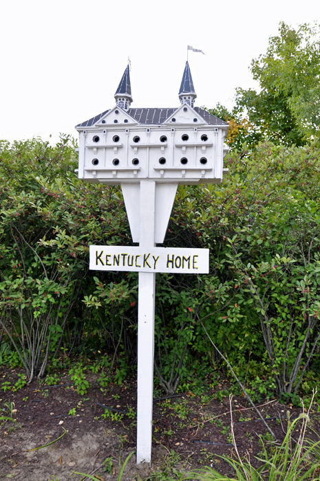 Kentucky Home birdhouse