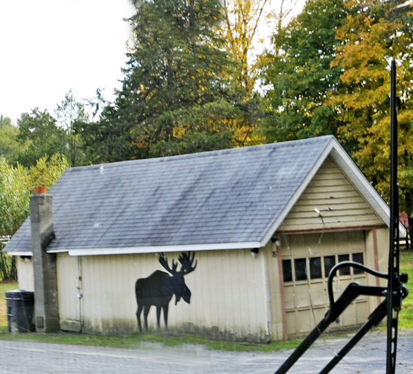 moose on a garage
