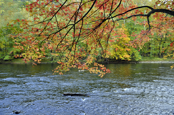 fall colors on the river by the KOA