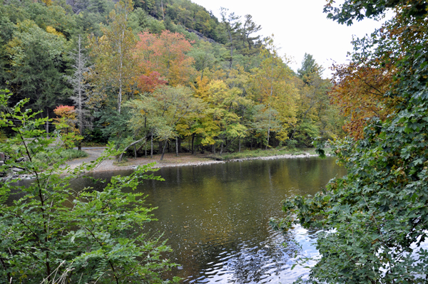 fall colors on the river by the KOA