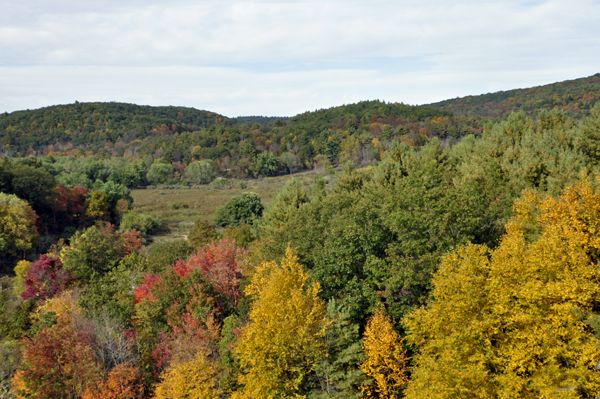 fall colors at Thomaston Dam