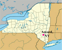map of New York showing location of Accord, NY