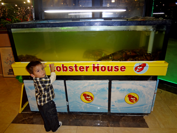 Anthony checking out the lobsters at Lobster House