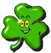 shamrock