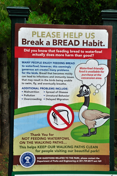 notice: bread is bad for ducks