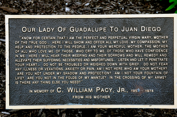 sign: Our Lady of Guadalupe to Juan Diego