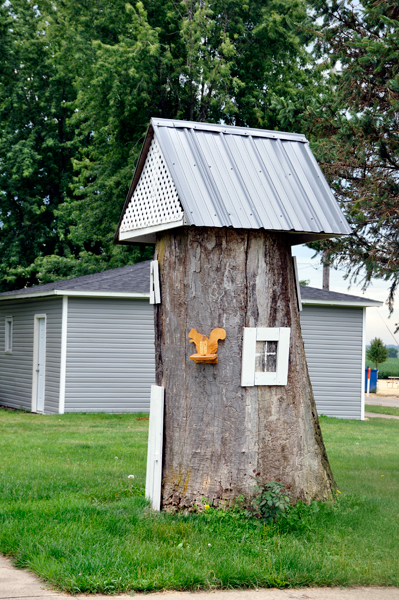 tree house stump