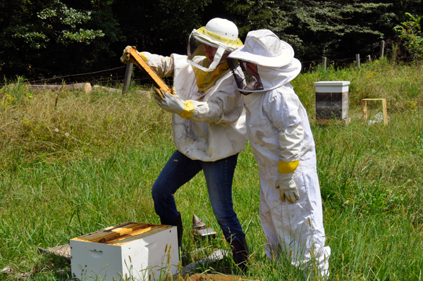Gabby and Karen inspect the bees