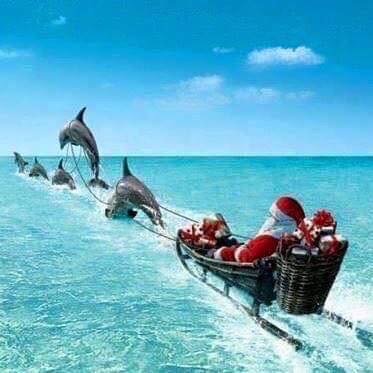 Santa's sleigh pulled by dolphins