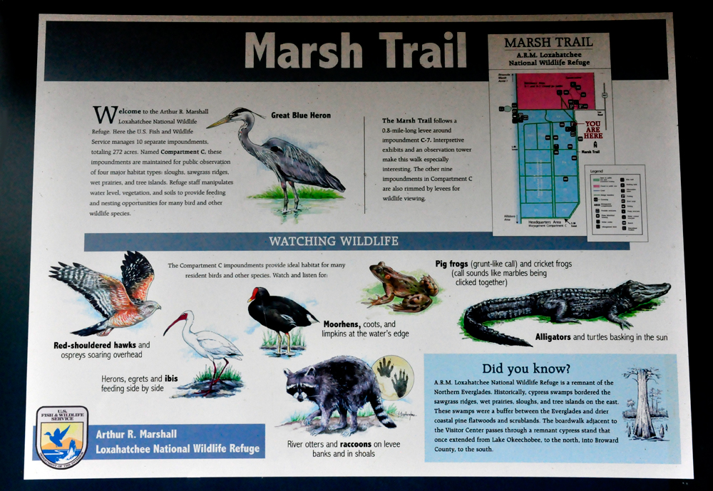 sign about birds and other wildlife