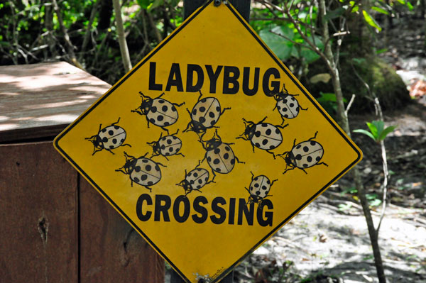 Ladybug crossing sign