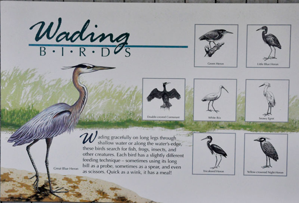 sign about birds