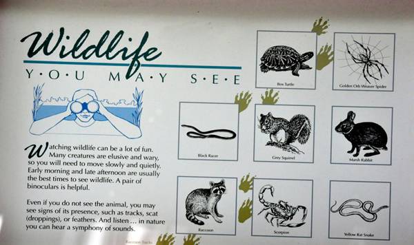 sign about wildlife