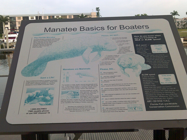 sign: Manatee basics