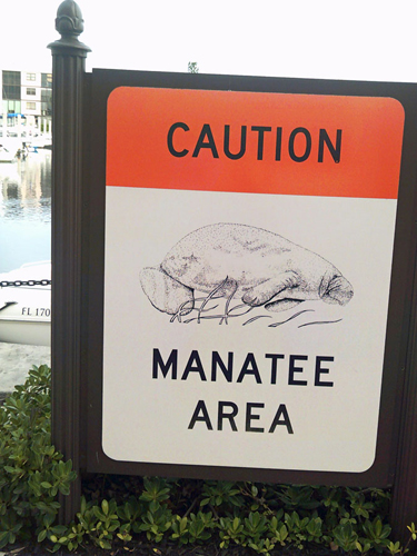 sign: Manatee area
