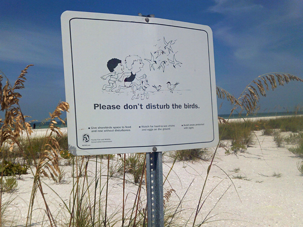 dunes and bird sign