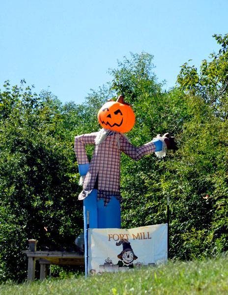 Pumpkin Head Scarecrow