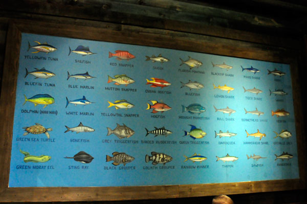 fish chart