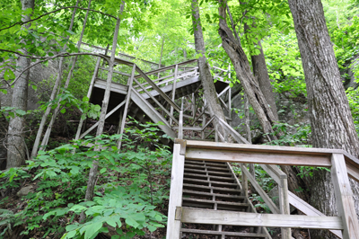 stairs leading down to the trail