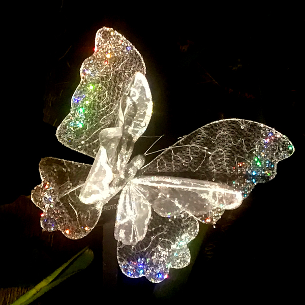 glass butterfly