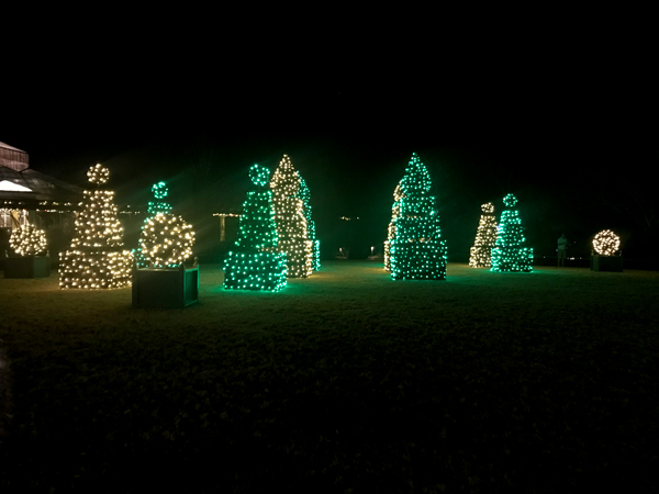 blinking Christmas trees