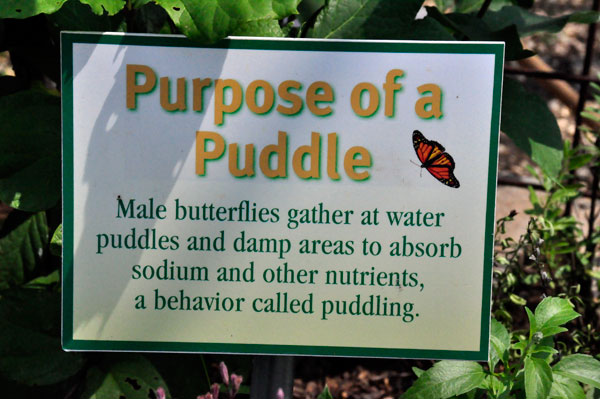 Purpose of a puddle