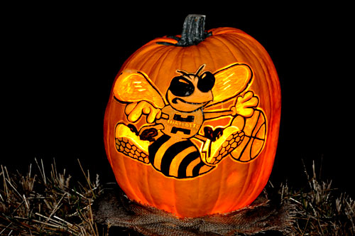 bumble bee pumpkin