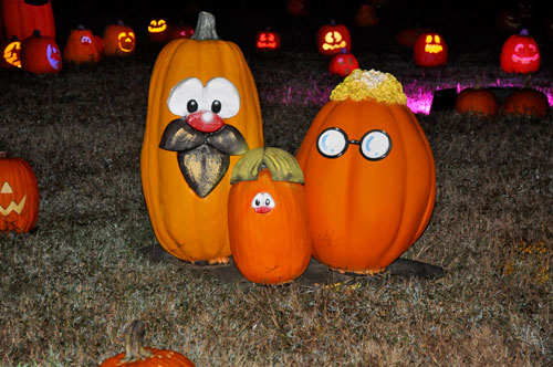 pumpkins with faces