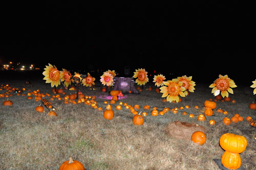flower pumpkins