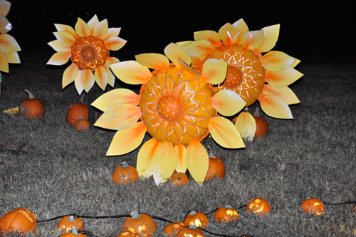 flower pumpkins