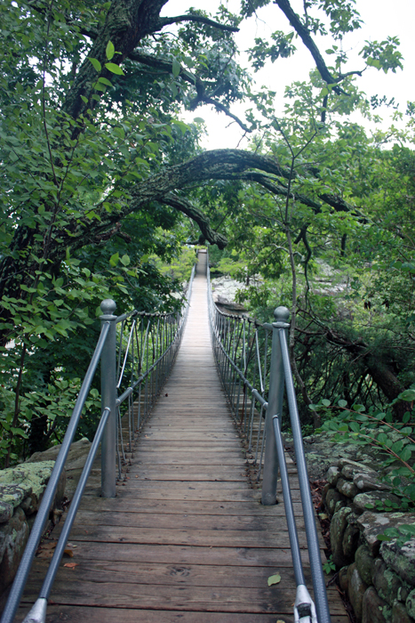 Swing-A-Long Bridge at Rock City