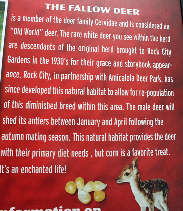 sign about the Fallow deer