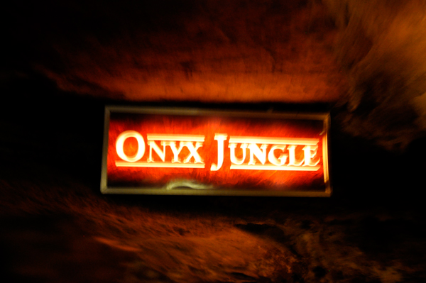 Onyx jUngle sign