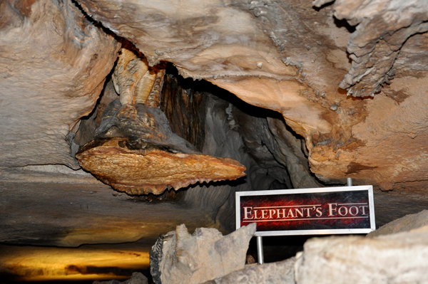 elephant's foot waterfall in the cave of Ruby Falls