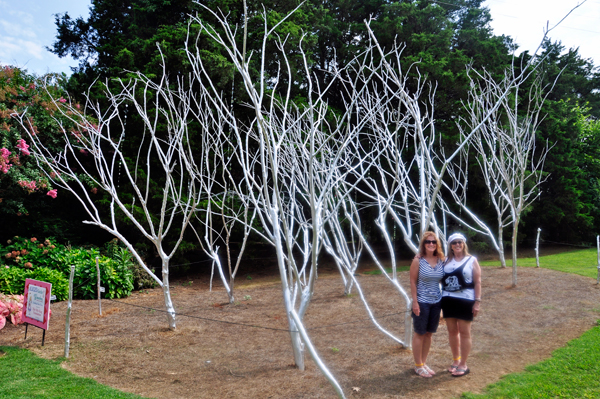 Karen Duquette and Ilse by the Looking Glass trees
