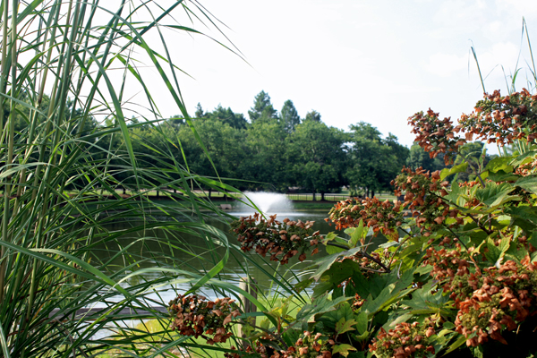 Huntsville Botanical Gardesn water fountain and pond