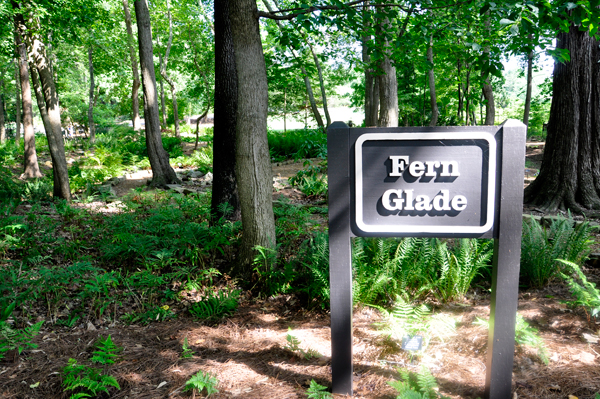 Fern Glade sign