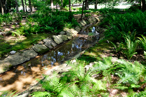 small creek in the Huntsville Botancial Garden