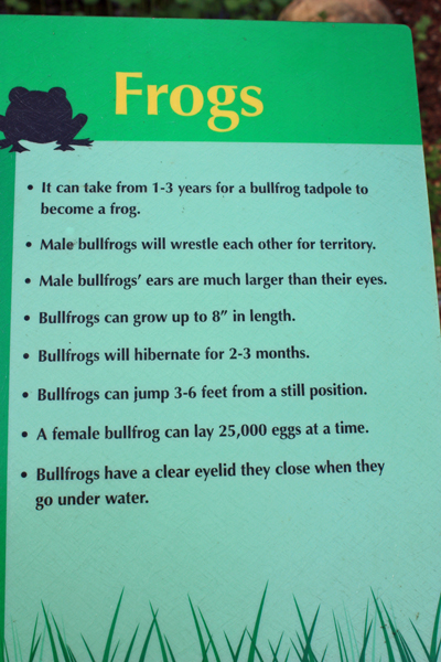 sign about frogs