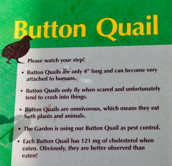 sign about Button Quail
