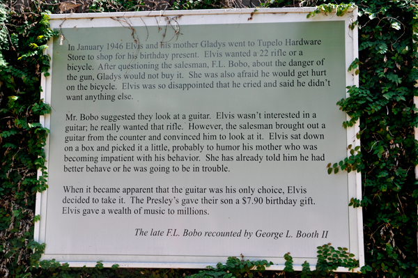 story of Elvis by  Bobo